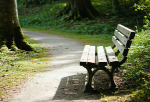 Making Friends with Neighbors as an Adult: Small Overtures That Build Real Community