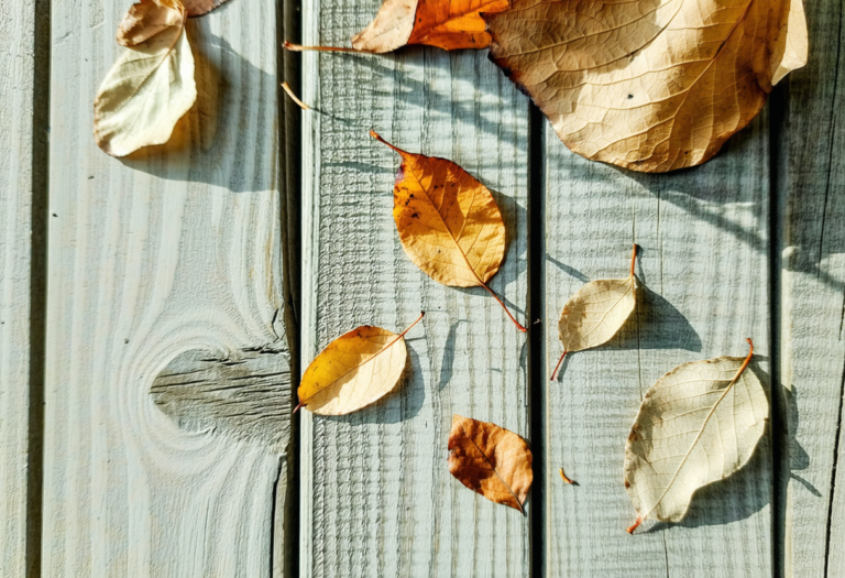 When Old Friends Reappear After Years: How to Decide If They Belong in Your Life Now