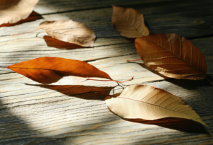 Recovering from a Public Work Mistake: A Gentle Playbook for the Days and Months After