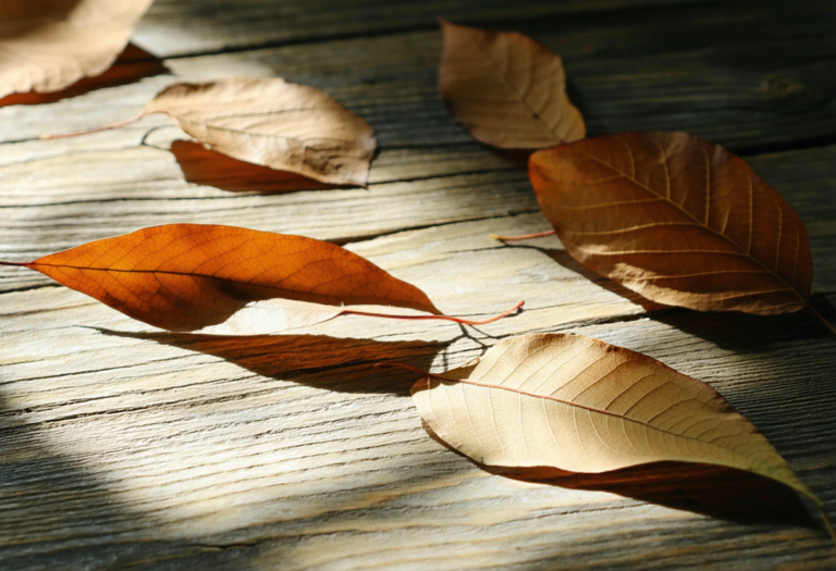 Recovering from a Public Work Mistake: A Gentle Playbook for the Days and Months After