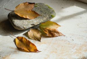 Working Under a Younger Boss: Ego Adjustments and the Quiet Career Advantage