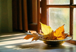 Workplace Friendships After Changing Jobs: What Survives Beyond Daily Proximity